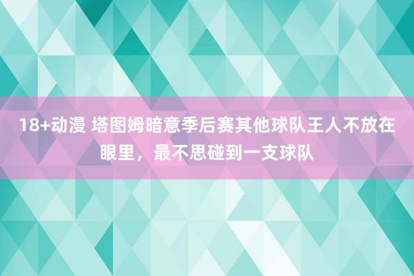 18+动漫 塔图姆暗意季后赛其他球队王人不放在眼里，最不思碰到一支球队