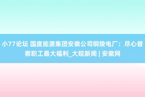 小77论坛 国度能源集团安徽公司铜陵电厂：尽心督察职工最大福利_大皖新闻 | 安徽网