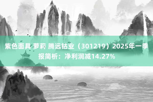 紫色面具 萝莉 腾远钴业（301219）2025年一季报简析：净利润减14.27%