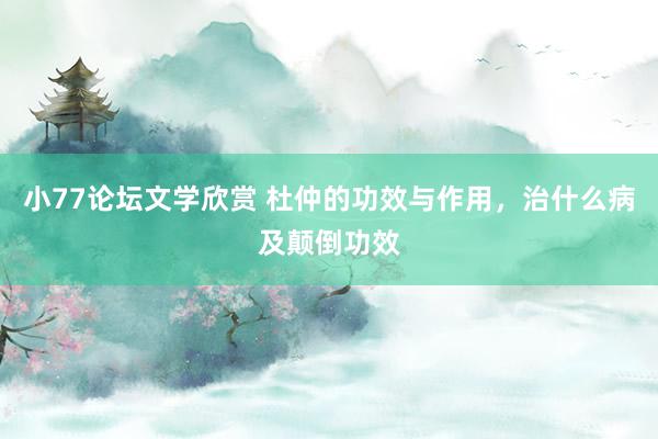 小77论坛文学欣赏 杜仲的功效与作用，治什么病及颠倒功效