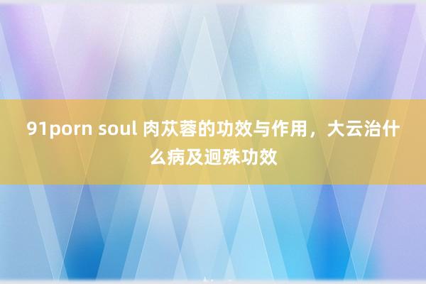 91porn soul 肉苁蓉的功效与作用，大云治什么病及迥殊功效