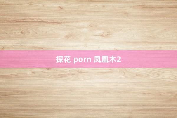 探花 porn 凤凰木2